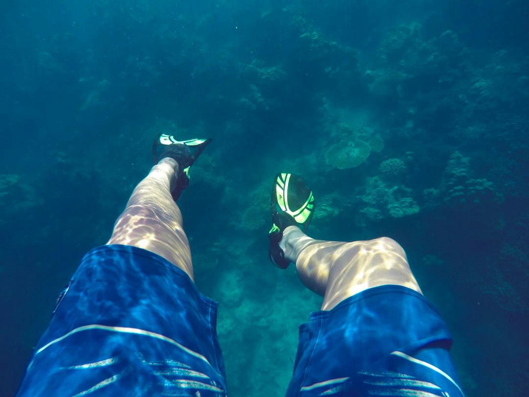 A spearfisher aims a speargun with intense focus, moving through the water with purpose, illustrating decisive action and sharp intuition.